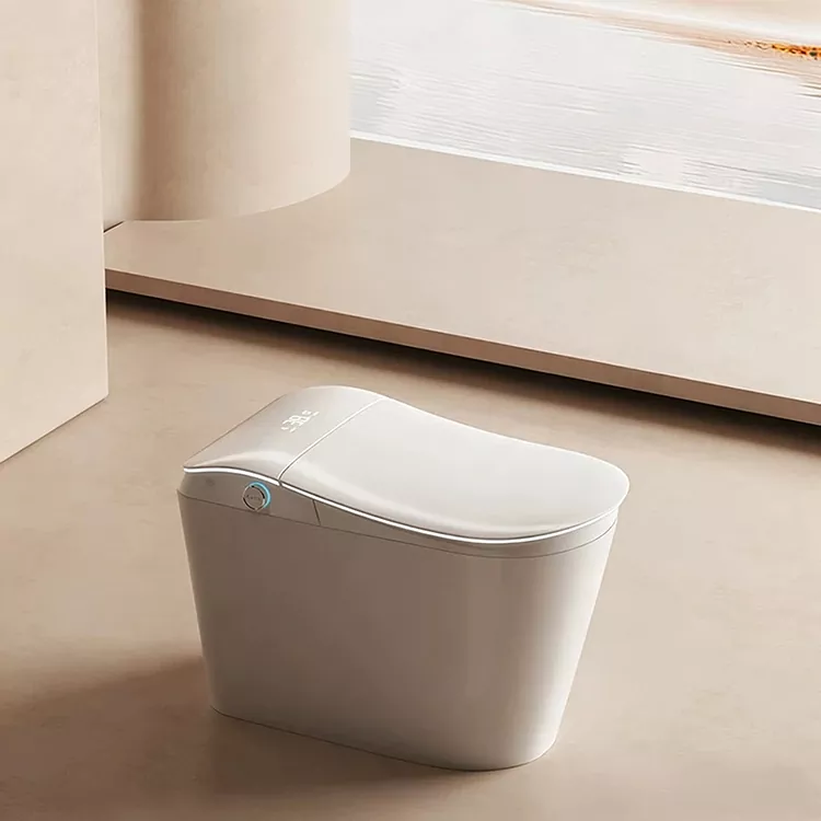 Toilet Cerdas Dengan Filter Air Bawaan Dan Pembilasan yang Diaktifkan Kaki
