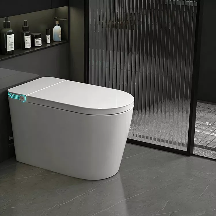 Toilet Cerdas Sterilisasi Nosel Semprot dengan Kendali Jarak Jauh Nirkabel